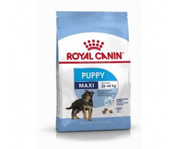CROQUETTES MAXI JUNIOR 15KG ROYAL CANIN