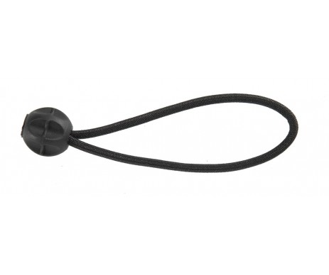 LIEN ELASTIQUE 21CM x10