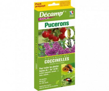 TRAITEMENT PAR COCCINELLES - AU CHOIX 20 ADULTES