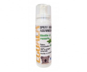 SPRAY ASSAINISSANT BIO 100ML