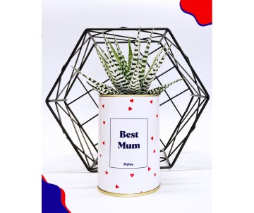 PLANTE VERTE AVEC MESSAGE
