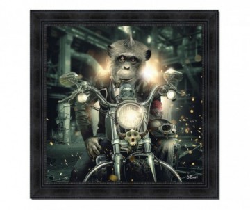 BINET GORILLE MOTO 68X68CM