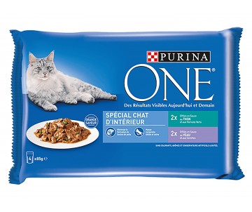 EFFILÉS EN SAUCE POUR CHAT...