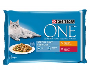 EFFILÉS EN SAUCE POUR CHAT...