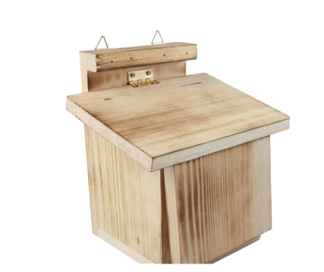 STATION ALIMENTATION ECUREUIL