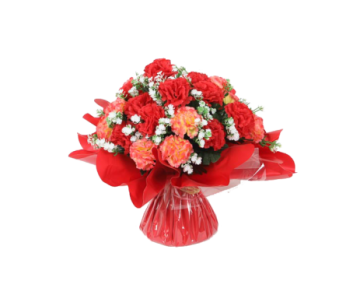 BOUQUET BULLE H31DM35CM ASS