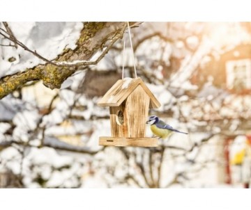 MANGEOIRE PR OISEAUX COTTAGE