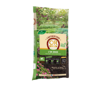 OR BRUN AUTHENTIQUE 25 KG