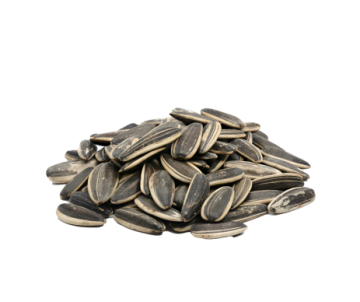 TOURNESOL STRIE SAC DE 3KG