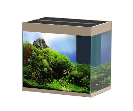 AQUARIUM EMOTIONS PRO 80 MYSTIC