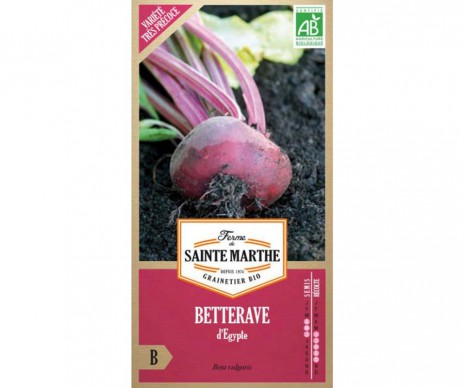 BETTERAVE POTAGERE D'EGYPTE AB BIO FERME DE SAINTE MARTHE