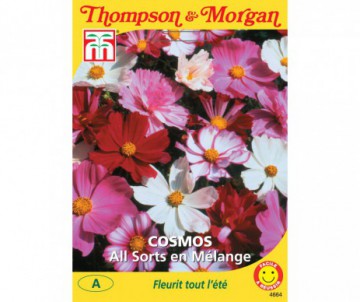COSMOS ALL SORTS EN MELANGE