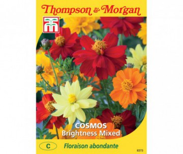 COSMOS BRIGHTNESS EN MELANGE
