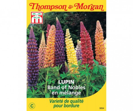 LUPIN BAND OF NOBLES EN MELANGE