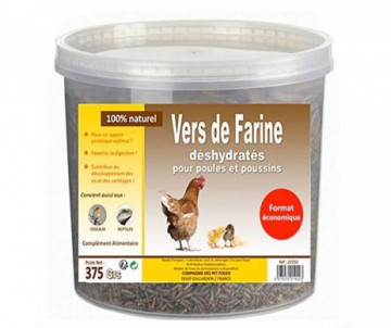 FRIANDISE POULE VERS DE FARINE 375GR