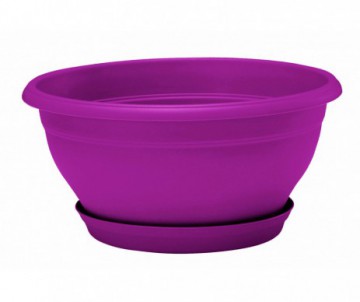 COUPE LOTUS RONDE DIAMETRE 25CM GRIOTTE