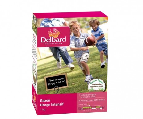 GAZON USAGE INTENSIF DELBARD 1KG