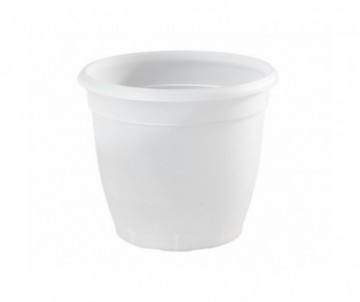 POT ROND ORCHIDEES  DIAMETRE 14CM TRANSPARENT