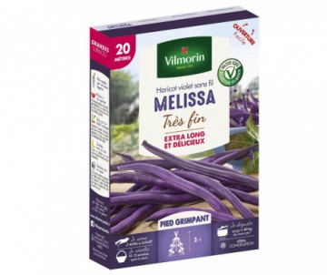 HARICOT RAMES MELISSA 20M VILMORIN