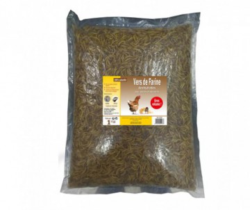 FRIANDISE POULE VERS DE FARINE 1KG
