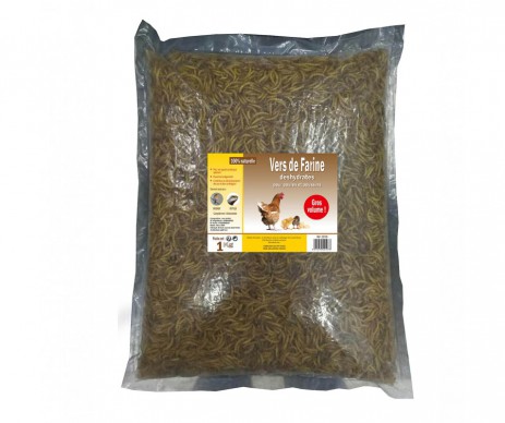 FRIANDISE POULE VERS DE FARINE 1KG