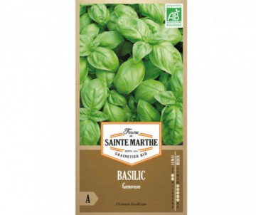 BASILIC GENOVESE BIO