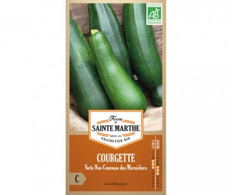 COURGETTE VERTE DES MARACHERS