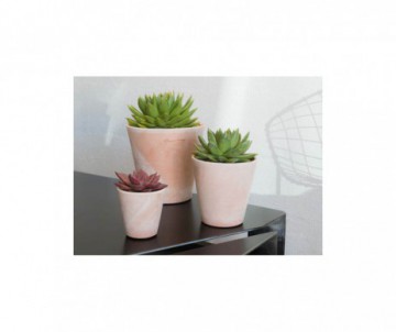 PETIT CUVIER HAUT DIAMATRE 10.5CM
