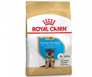 CROQUETTES GERMAN SHEPHERD JUNIOR 12KG ROYAL CANIN