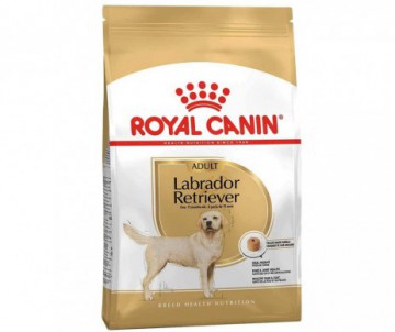 CROQUETTES LABRADOR ADULT 12KG ROYAL CANIN