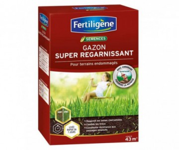 GAZON SUPER REGARNISSANT 43M2