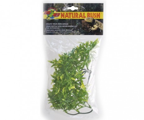 PLANTE BOLIVIAN GM POUR TERRARIUM BU35E