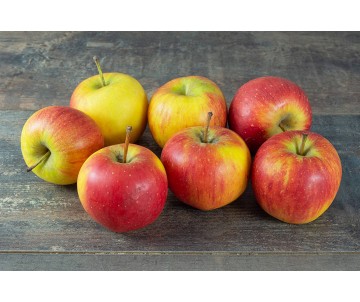 POMMES PINOVA SAC DE 5KG