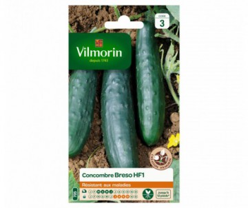 CONCOMBRE BRESO HYBRIDE F1 VILMORIN