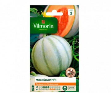 MELON SAVOR HYBRIDE F1 VILMORIN