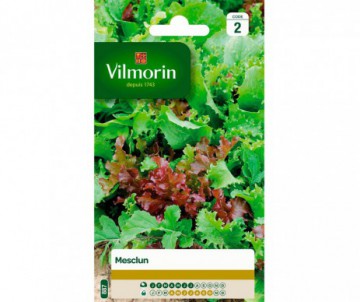 MESCLUN VILMORIN
