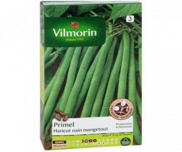 HARICOT PRIMEL VILMORIN
