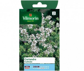 CORIANDRE CULTIVEE VILMORIN