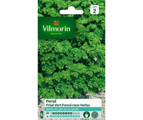 PERSIL FRISE VERT FONCE RACE VERBO VILMORIN