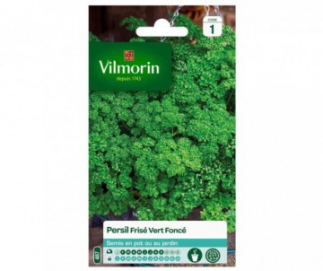 PERSIL FRISE VERT FONCE VILMORIN