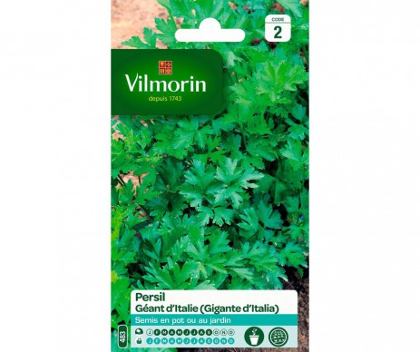 PERSIL GEANT D'ITALIE VILMORIN