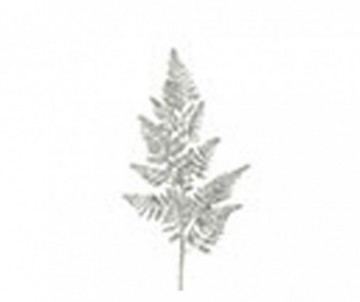 FEUILLE DE FOUGERE ARGENT