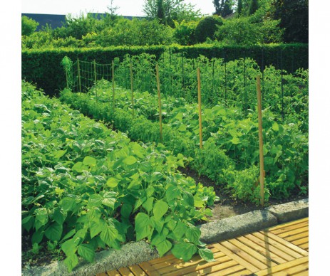 FILET A RAMER 2X5M