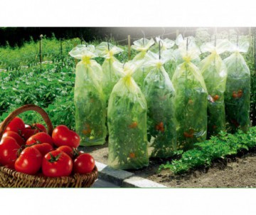 HOUSSE CROISSANCE 0 60X10M TOMATOTUBE