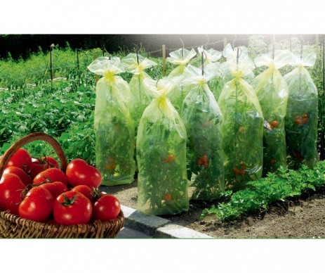 HOUSSE CROISSANCE 0 60X10M TOMATOTUBE