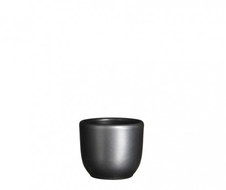 POT RD TUSCA ANTHR  H6