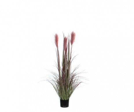 FOXTAIL POT BORDEAUX H120D45CM