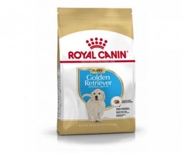 CROQUETTES GOLDEN JUNIOR 12KG ROYAL CANIN