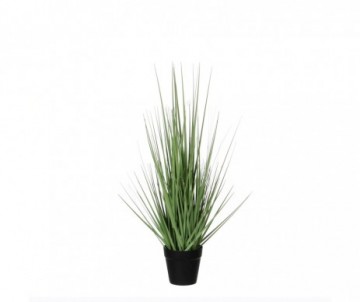 GRAS VERT /POT PLAST D10-H53CM