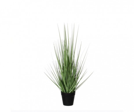 GRAS VERT /POT PLAST D10-H53CM